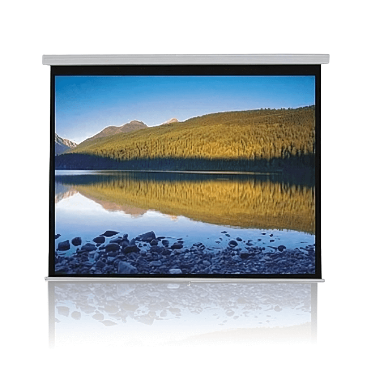 מסך למקרן מקורי תמונה חדה ואיכותית